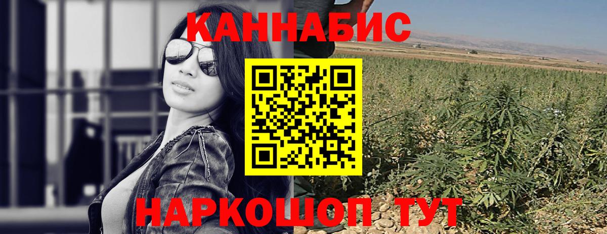 Конопля план Тула